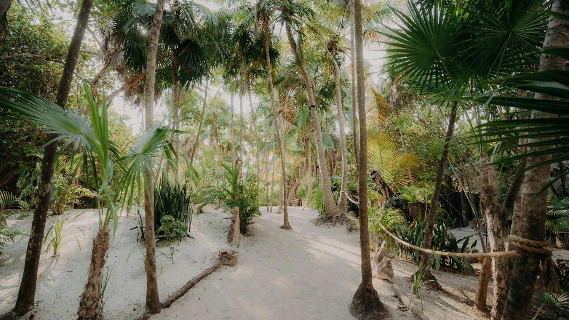 Apartamento Stylish Tulum Studio With Terrace And Pool México