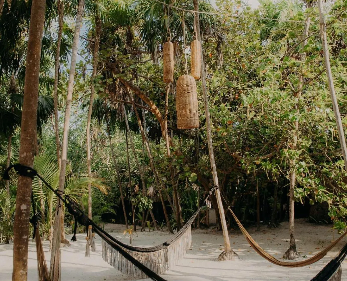 Stylish Tulum Studio With Terrace And Pool 公寓